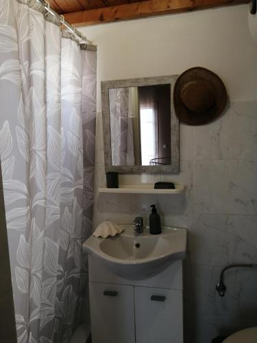 a bathroom with a sink and a mirror and a shower curtain at Waterway view in Galatas