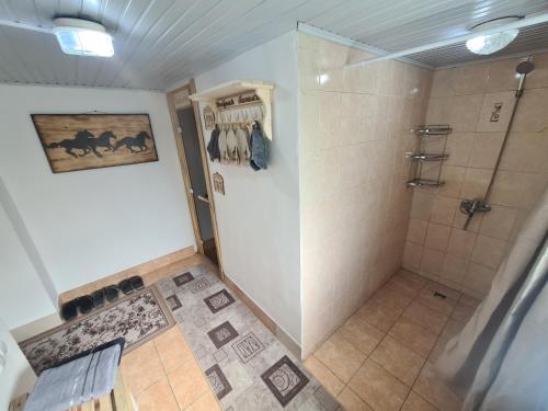 a bathroom with a shower and a shower stall at Дачный массив Кайнар Булак. г. Шымкент in Kaynarbulak