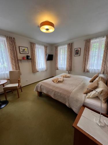 a bedroom with a bed and a table and windows at Hotýlek pod smrkem in Harrachov