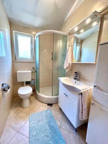 a bathroom with a shower and a toilet and a sink at Apartment Kustura in Vinišće