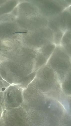 a close up of water with patterns in it at La Foggia seaside paradise in Siculiana
