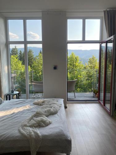ein Schlafzimmer mit einem Bett und einem großen Fenster in der Unterkunft Apartmán Vyhlídka Hamry in Hamry