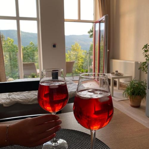 zwei Gläser Wein auf dem Tisch in der Unterkunft Apartmán Vyhlídka Hamry in Hamry
