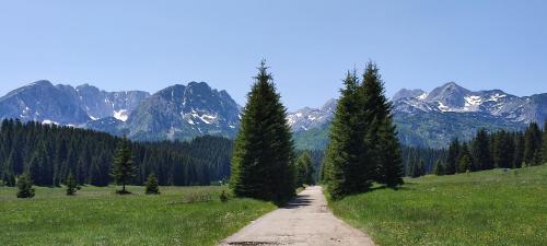 a dirt road with trees and mountains in the background at Cottage 1600 Bosaca in Nikšić