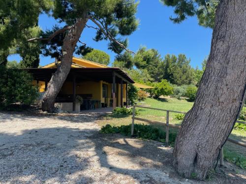 een geel huis met een hek en twee bomen bij Villa Panorama Sirolo in Sirolo