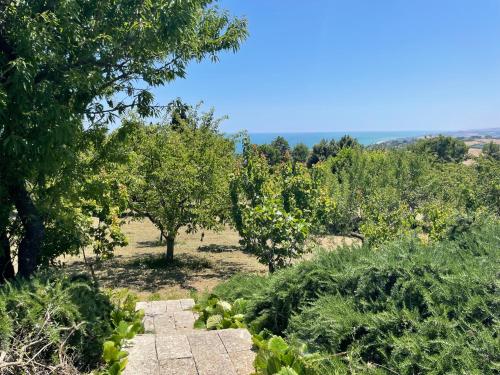 einen Steinweg auf einem Feld mit Bäumen in der Unterkunft Villa Panorama Sirolo in Sirolo
