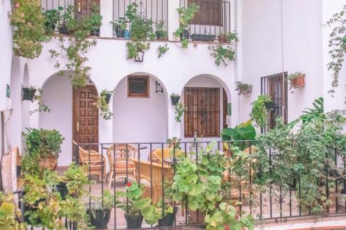 uma varanda de uma casa com cadeiras e plantas em Hotel Casa de las Piedras em Grazalema