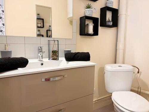 干邑的住宿－Studio Charmant hyper centre Cognac，白色的浴室设有卫生间和水槽。