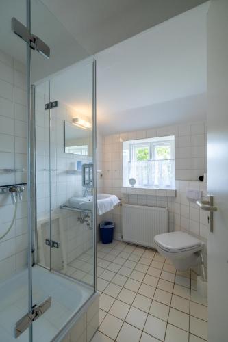 a bathroom with a shower and a toilet and a sink at Ferienhaus Midlum in Midlum