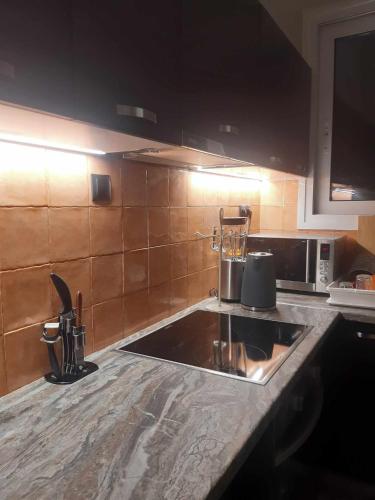 uma cozinha com um lavatório e um micro-ondas em XANTHI'S 4 LIVING em Atenas