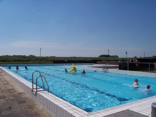 a group of people in a swimming pool at Tiny house Roodborstje in Oudesluis