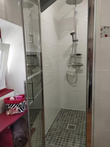 une douche avec une porte vitrée dans une salle de bain dans l'établissement PEGASUS, à Blainville-sur-Orne