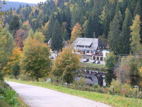 a house on a hill next to a road at Klosterweiherhof in Dachsberg im Schwarzwald