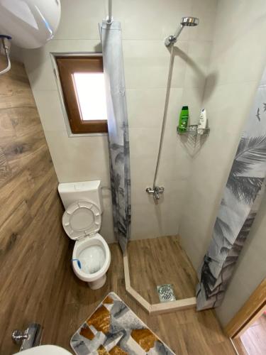 a bathroom with a toilet and a shower at Bungalows Ivan in Žabljak