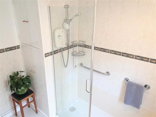 a shower with a glass door in a bathroom at Cottage in Frogmore near Salcombe Estuary & Beaches in Kingsbridge
