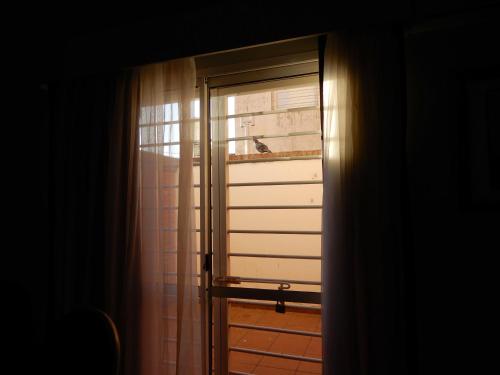 Edificio Parana – Photos 2