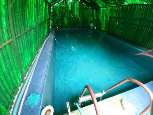 a pool of blue water in a green cage at Julija Pansion in Senta