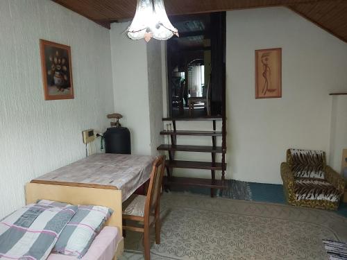 Zimmer mit einem Bett, einem Tisch und einem Stuhl in der Unterkunft Julija Pansion in Senta