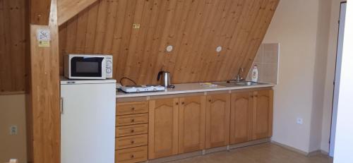 La cuisine est équipée d'un réfrigérateur blanc et d'un four micro-ondes. dans l'établissement Apartmány Ledeč, à Ledeč nad Sázavou