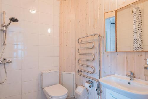 uma casa de banho com um WC, um lavatório e um espelho. em Vila RUNA em Plateliai