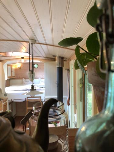 une chambre avec une table et un vase avec une plante dans l'établissement Tinyhouse auf Rädern, à Grängesberg