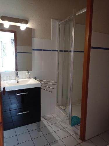 une salle de bain avec douche et lavabo dans l'établissement La Bastide de Boisset, à Argilliers