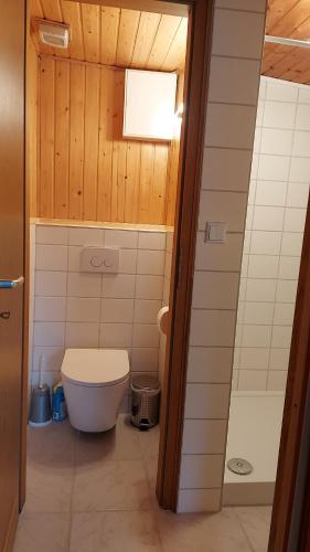 a small bathroom with a toilet and a shower at Ferienhaus in Geesthacht-Tesperhude direkt am Waldrand in Geesthacht