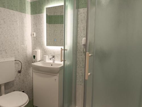 bagno con servizi igienici, lavandino e specchio di Apartments Abc Ljubljana a Lubiana
