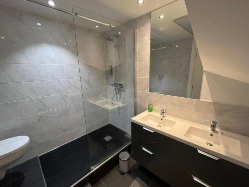 une salle de bain avec un lavabo, une douche et des toilettes dans l'établissement LOFT-HOLIDAY 3 Appartement spacieux à proximité de la plage, à Pinet