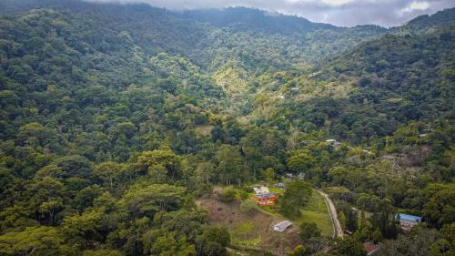 an aerial view of a forest with a house in the middle at Finca San Cayetano - Minca in Arimaca
