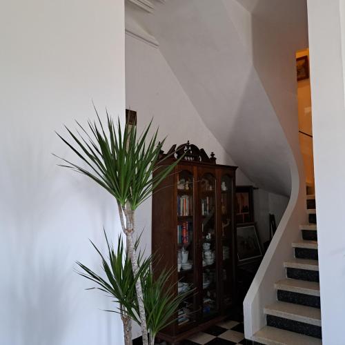 a stairway with a plant and a book shelf at La Maison du Canal- vue Canal- L'ère du Temps in Homps