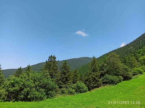 a green hill with trees and a blue sky at Kaya Palace in Çaykara