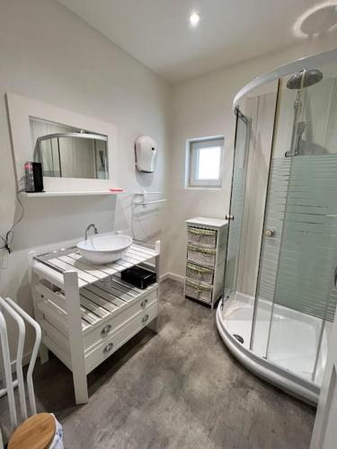 y baño blanco con lavabo y ducha. en Chalet à proximité du lac villefranche de panat, en Lestrade-et-Thouels