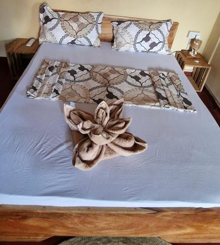 Paradise Paje Lodge – Photos 3