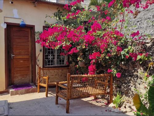 Paradise Paje Lodge – Photos 4