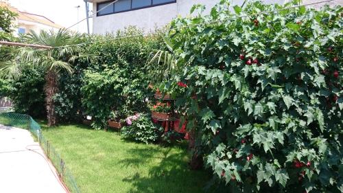 Giardino di Apartments Jaklin Rovinj