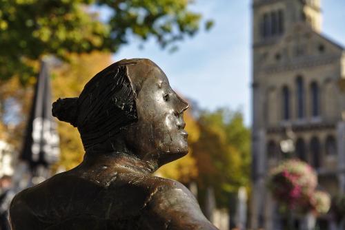 Επισκέπτες που μένουν στο Roermond Uniek Stadspand, compleet woonhuis