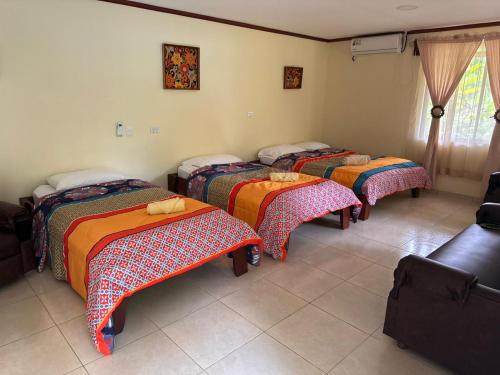 a group of four beds in a room at RIVER SIDE LODGE in Horquetas