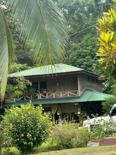 a house with a green roof and a yard at RIVER SIDE LODGE in Horquetas