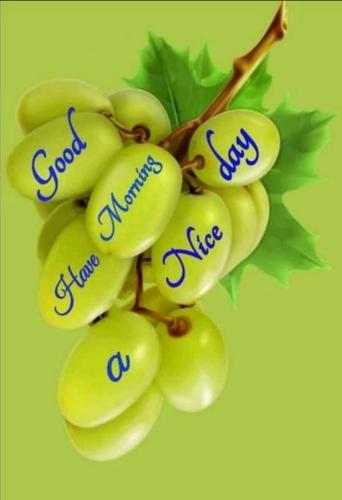 a bunch of green bananas with blue writing on them at MEDUPI 2 Guesthouse. in Kempton Park