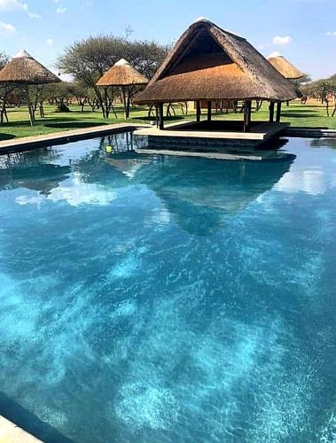 a large pool of blue water with a thatchedfficient at Bradbury Game Lodge and Function Venue in Polokwane