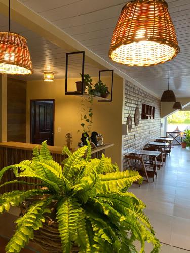 um restaurante com uma planta em primeiro plano e luzes em Pousada Do Porto em Barreirinhas