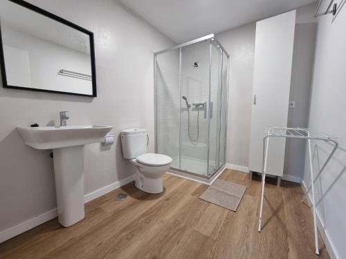 a bathroom with a shower and a toilet and a sink at Apartamentos y estudios EL CENTRO in Vargas