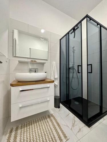 a bathroom with a sink and a glass shower at Appartement BM in Drage