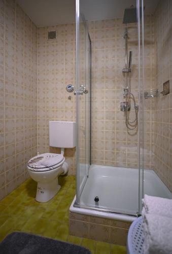 uma casa de banho com um WC e uma cabina de duche em vidro. em Ferienappartment Charly em Mutlangen