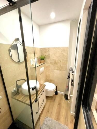 une salle de bain avec un lavabo et des toilettes dans l'établissement Appartement cosy proche du port, à Nice