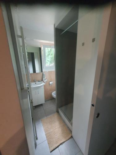 Kúpeľňa v ubytovaní Domek nad Narwią