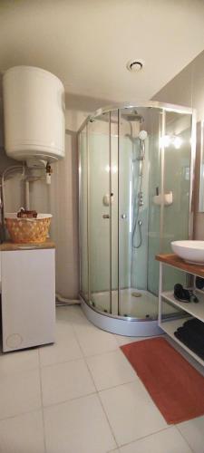 une salle de bain avec douche et lavabo dans l'établissement Montpellier centre-ville, à Montpellier