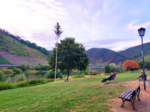 a person sitting on a park bench next to a lake at Mosel Boutique in Bruttig-Fankel