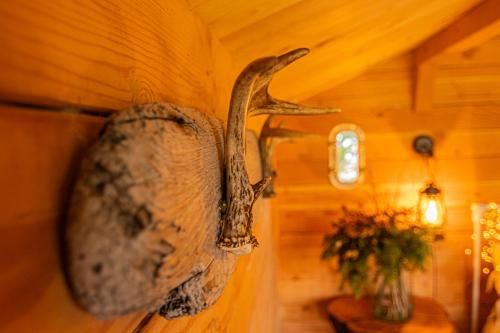 a large antler hanging on the wall of a room at Between Beaches Alaska in Seldovia